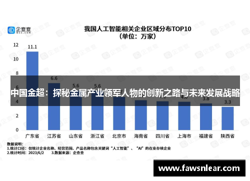 中国金超：探秘金属产业领军人物的创新之路与未来发展战略